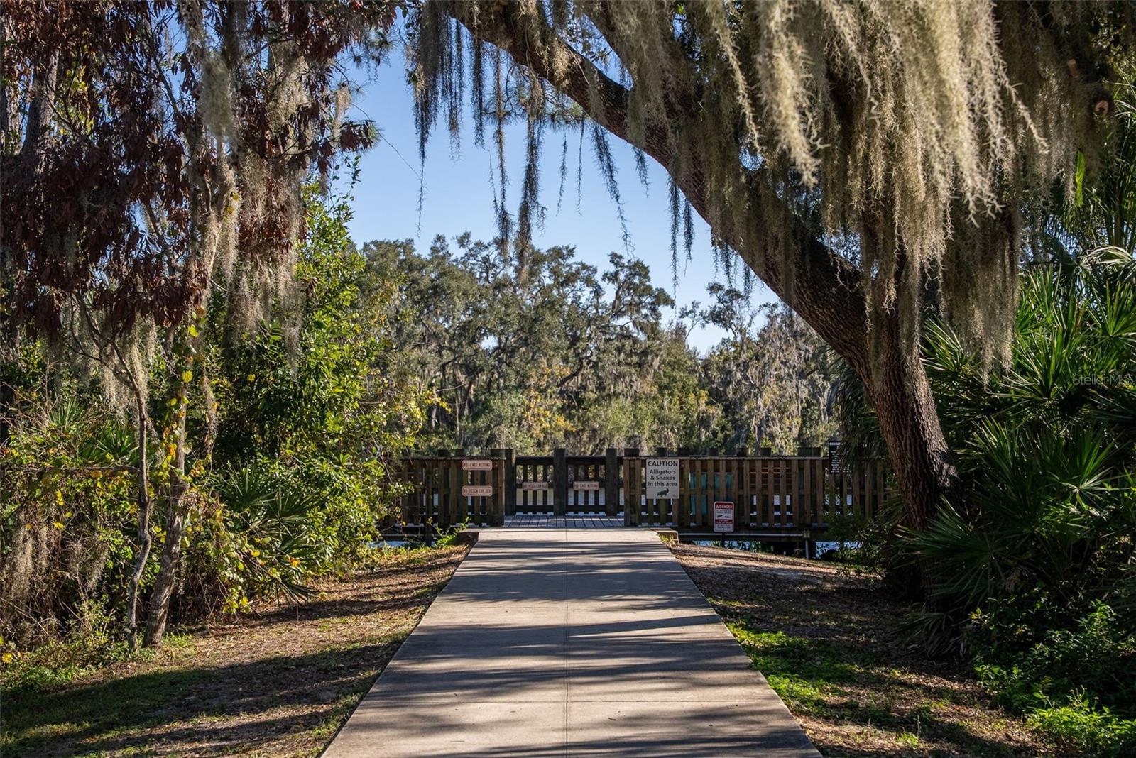 8111 SANTA ROSA CT — photo 94