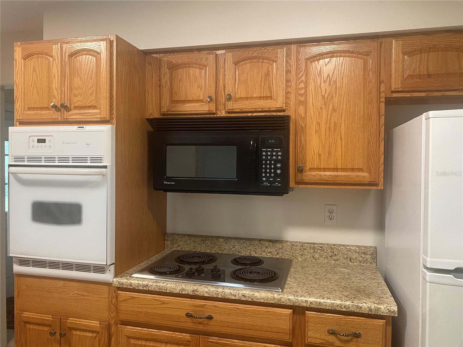 1001 AUGUSTA DR — photo 6