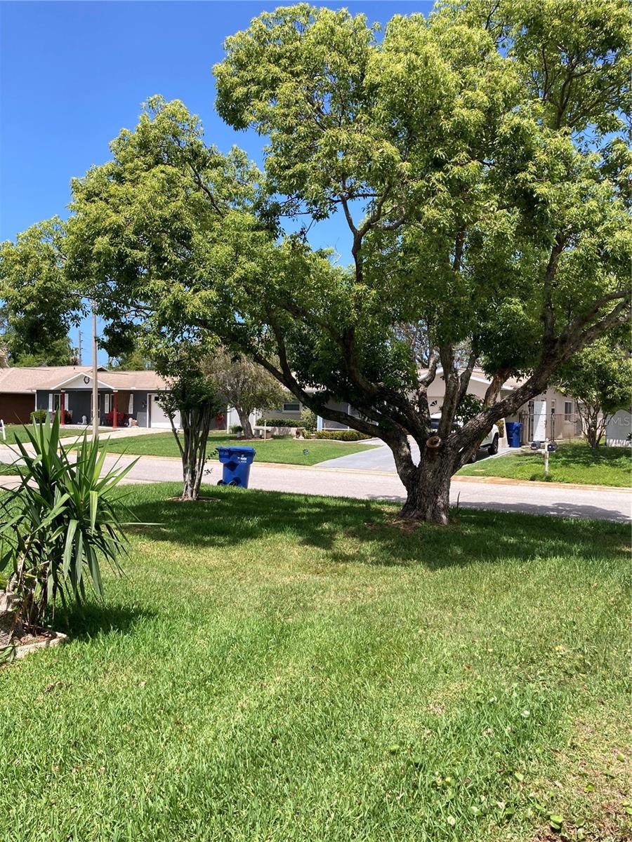 7628 VALLEY CT — photo 11