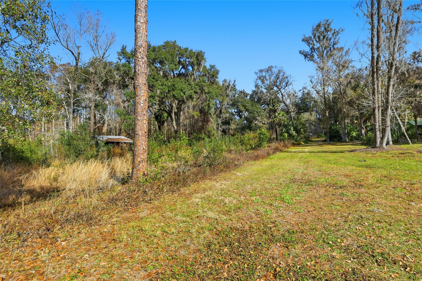 HIGGINSON RD — photo 3