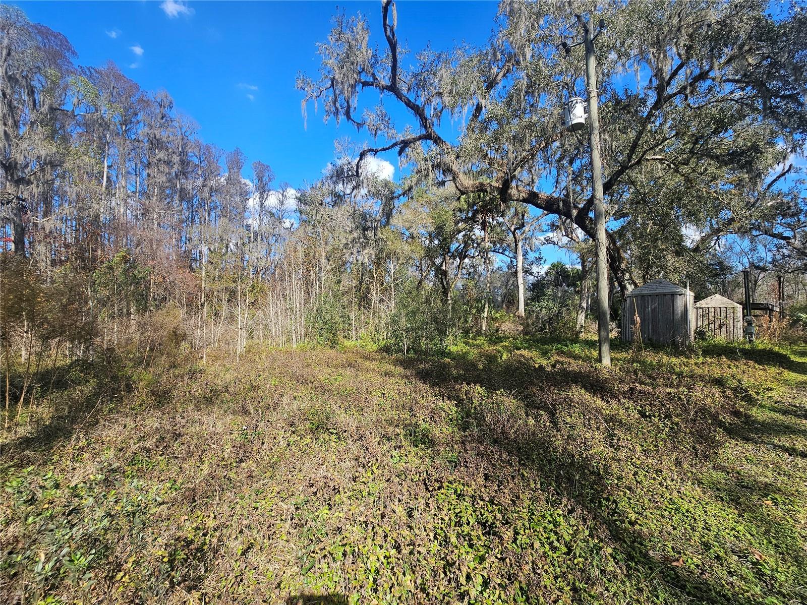 HIGGINSON RD — photo 2
