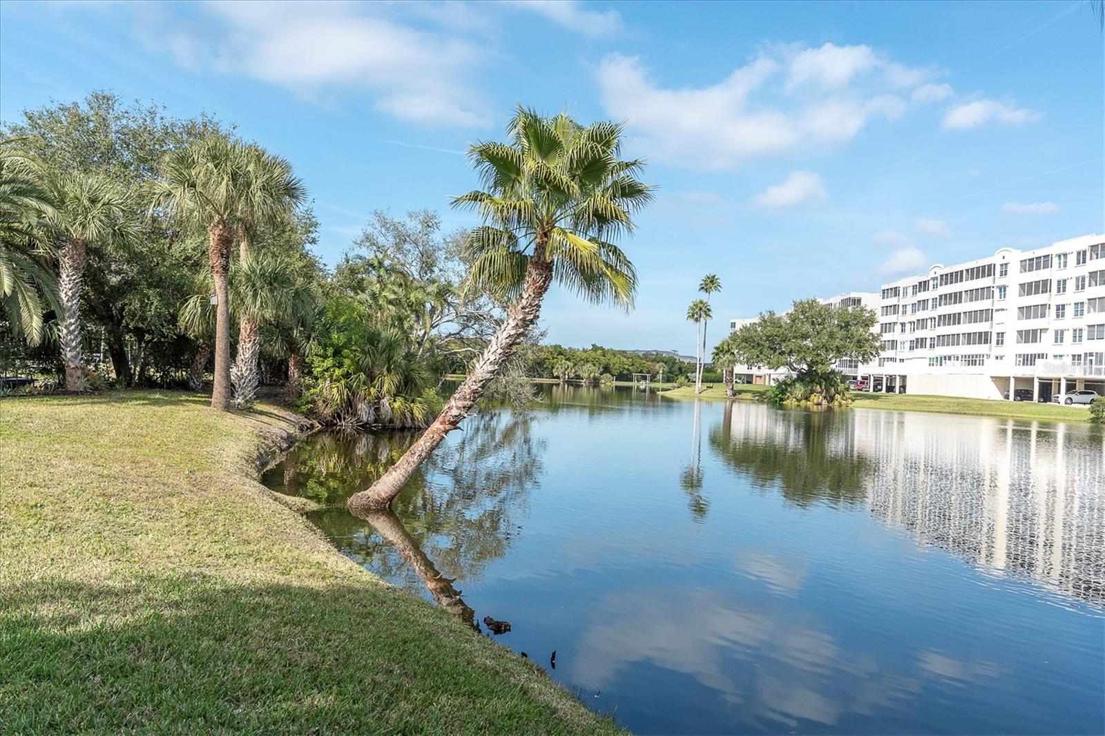 6315 SHORELINE DR #3307 — photo 38