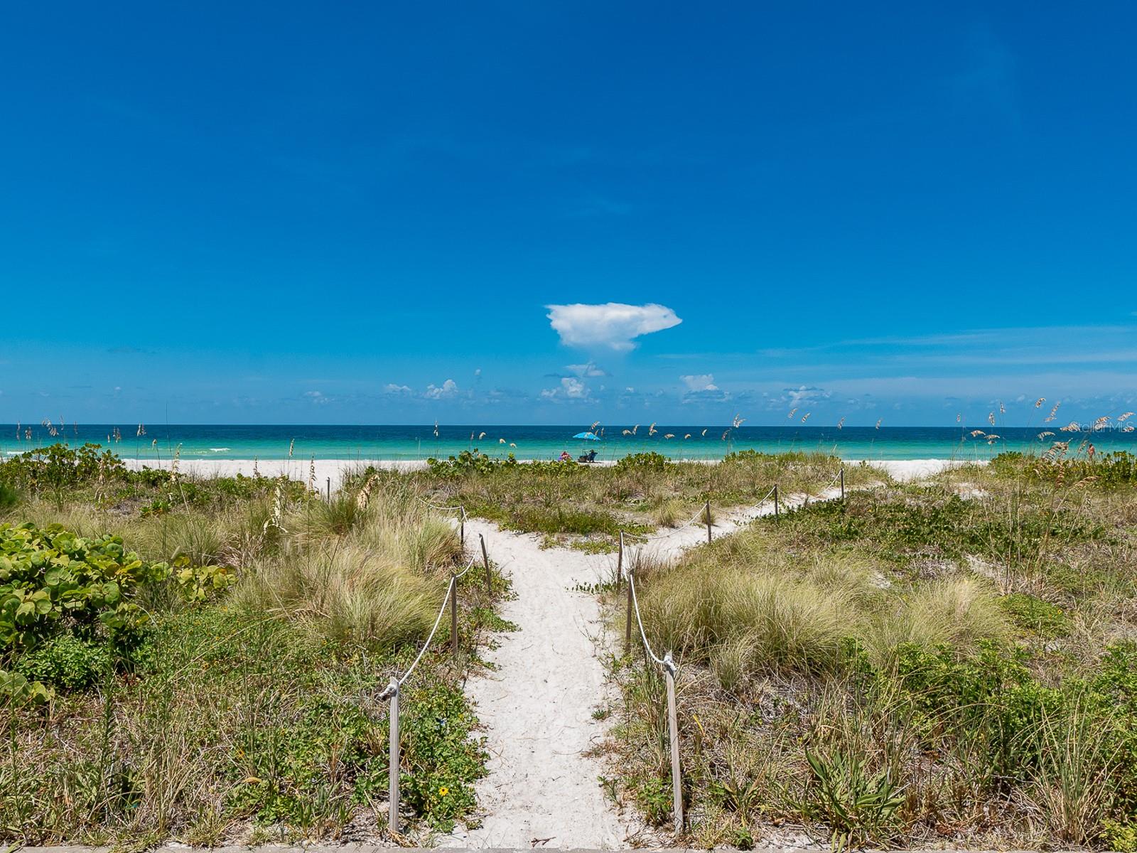 1480 GULF BLVD #610 — photo 37