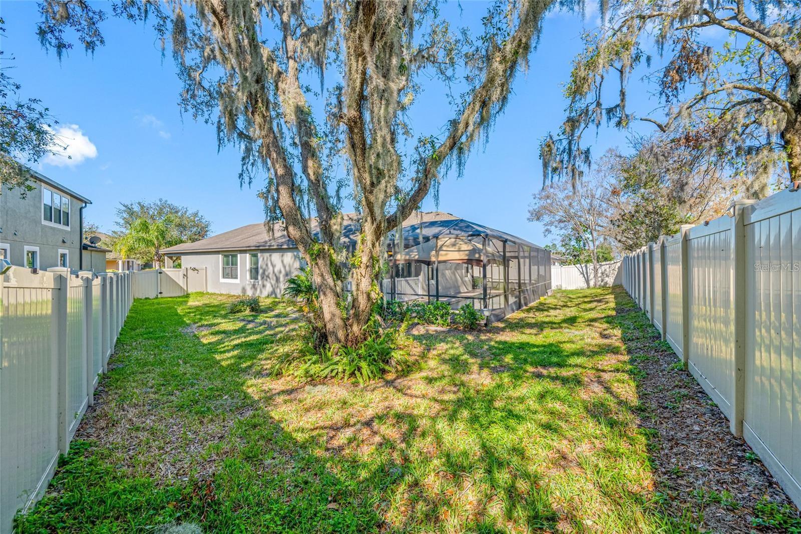 11652 PALMETTO PINE ST — photo 36