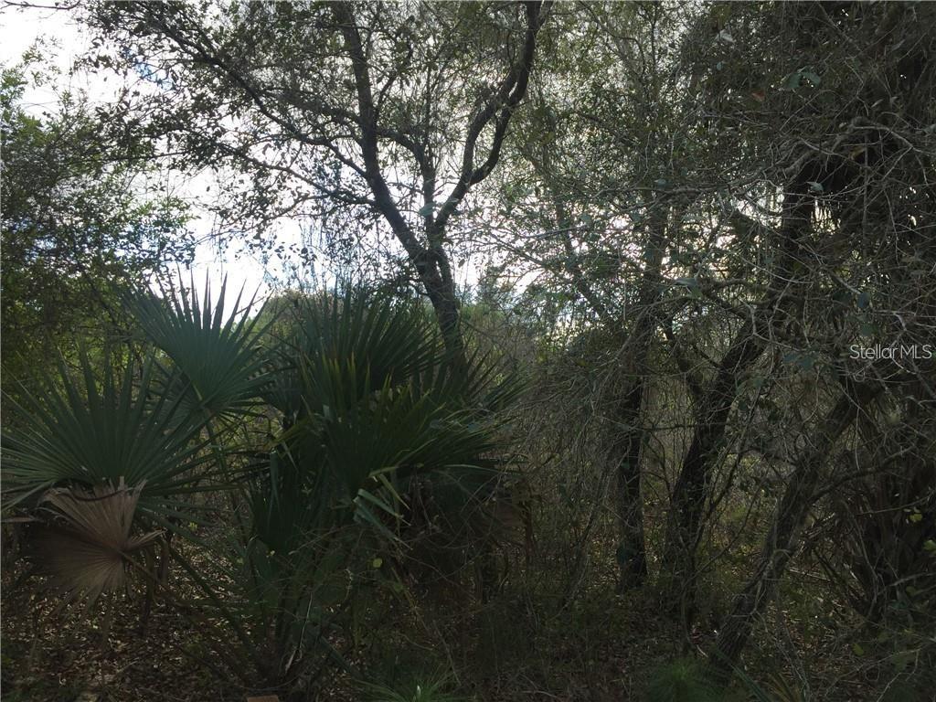 Lot 9 HONEYCOMB CIR — photo 5