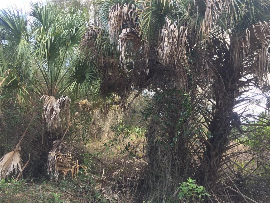 Lot 9 HONEYCOMB CIR — photo 9