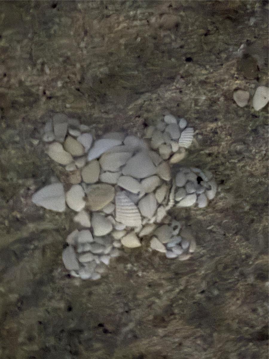 Lot 9 HONEYCOMB CIR — photo 10