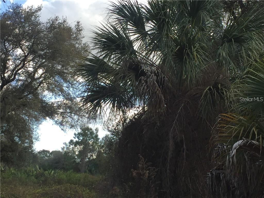 Lot 9 HONEYCOMB CIR — photo 6