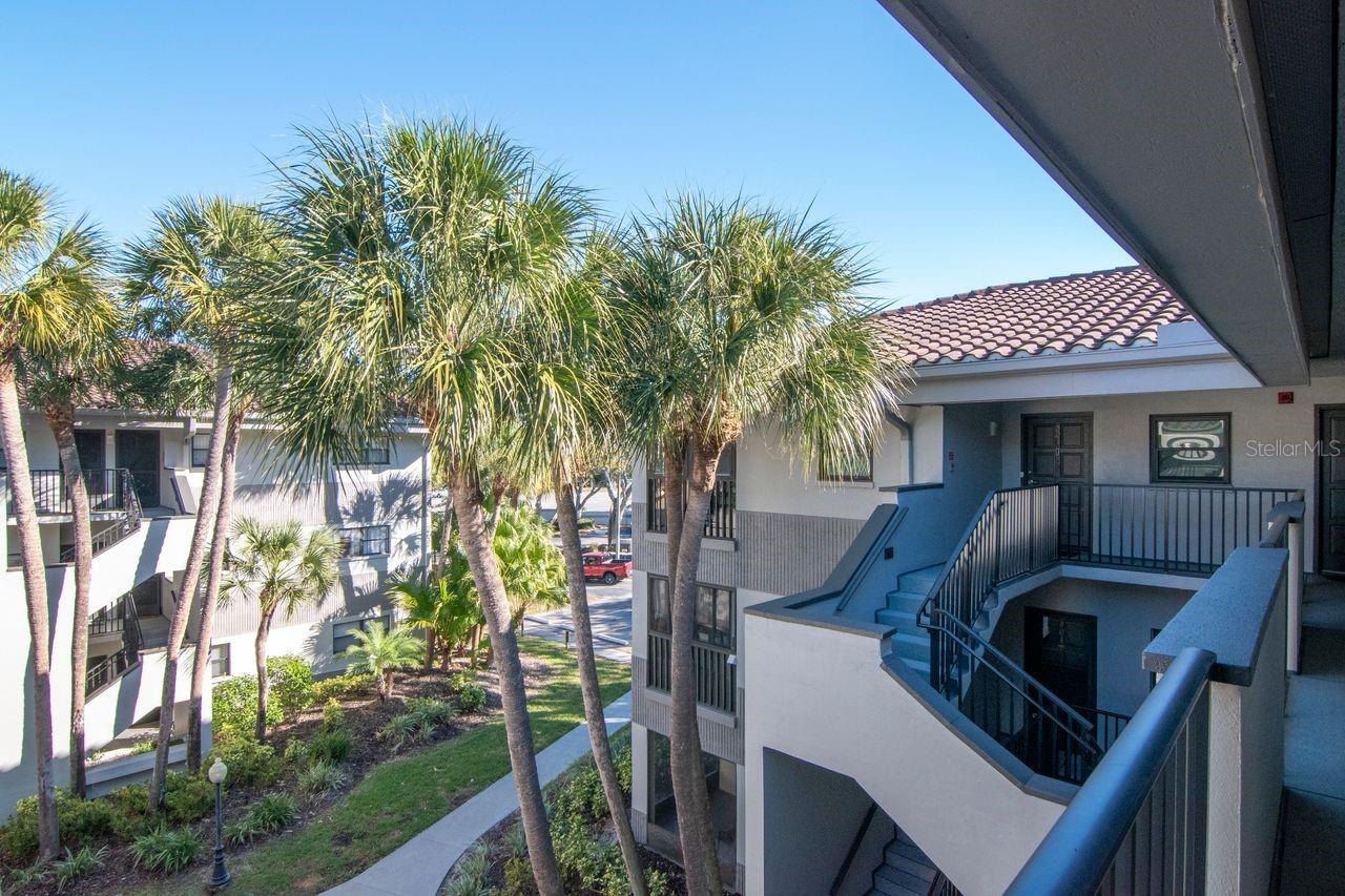 2650 COUNTRYSIDE BLVD #F303 — photo 13