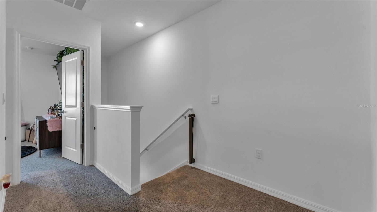 3532 WHITE DANDELION CT — photo 19