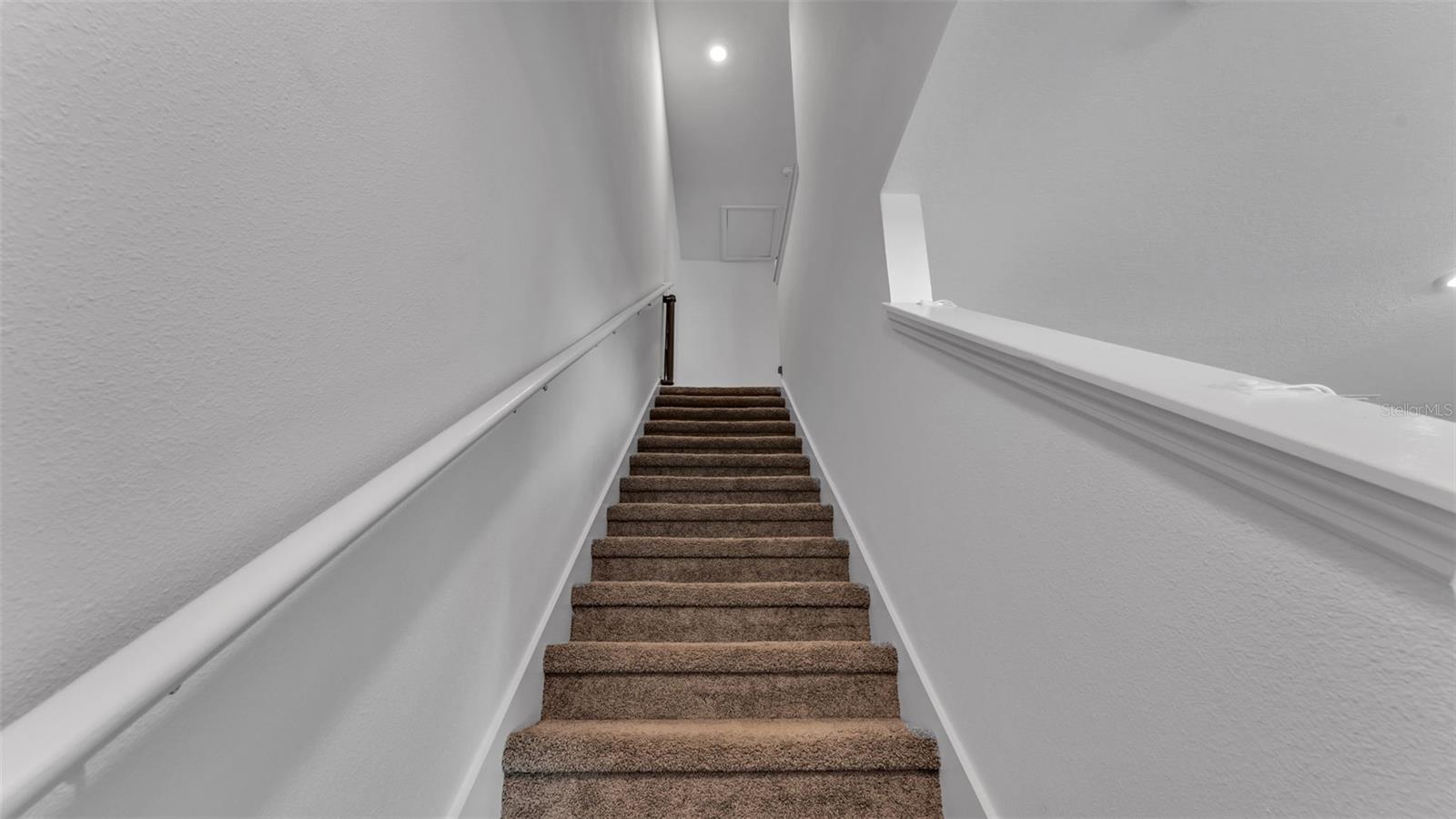 3532 WHITE DANDELION CT — photo 17