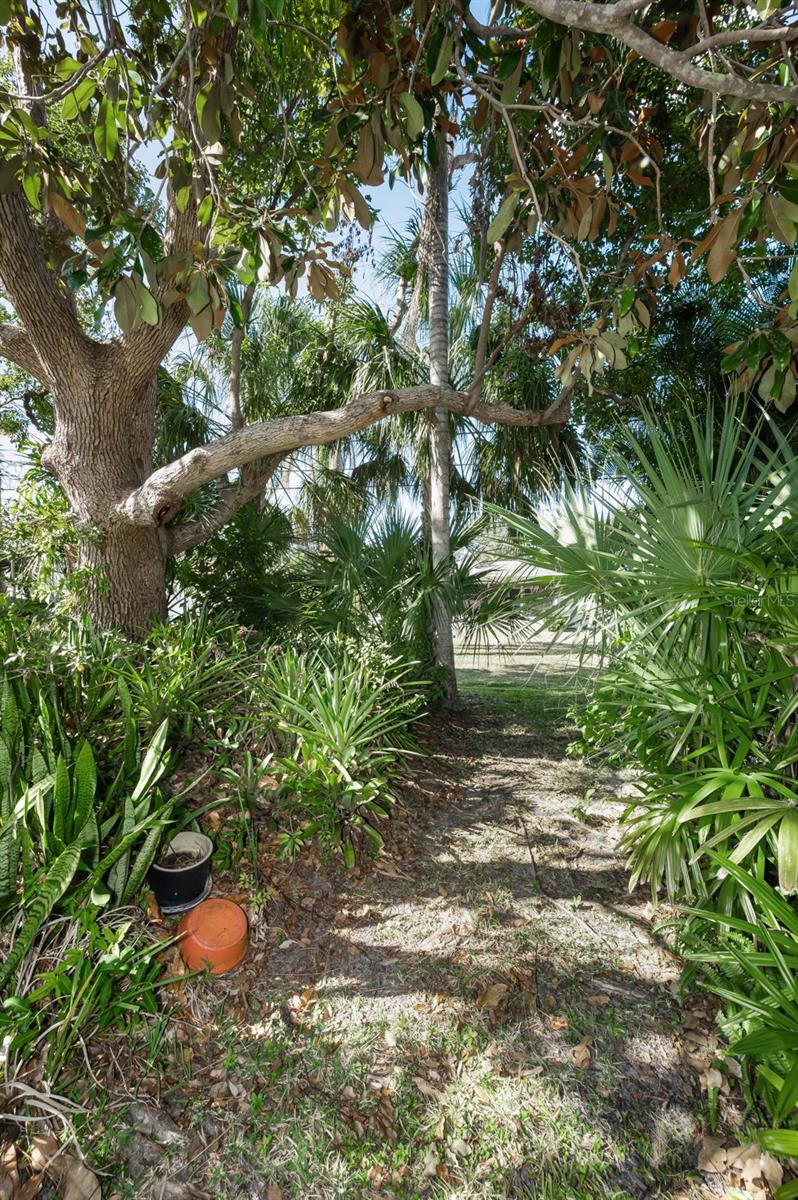2310 SARAZEN DR — photo 55