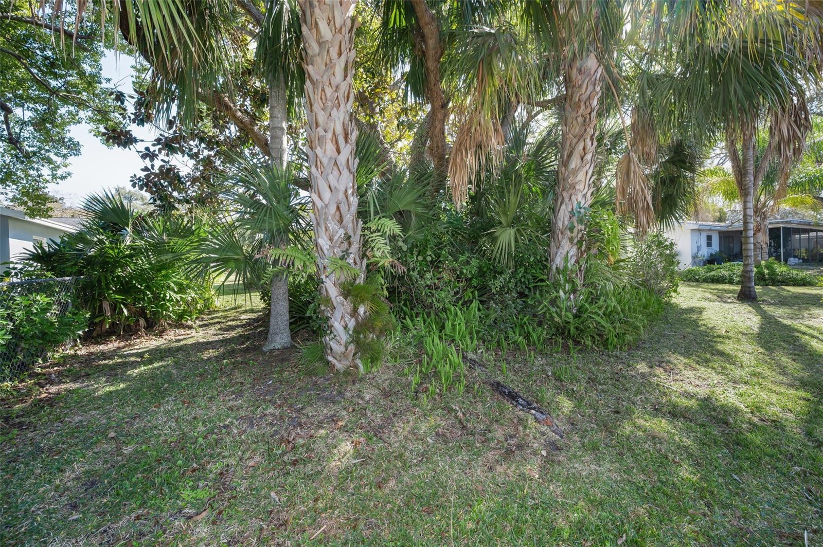 2310 SARAZEN DR — photo 56