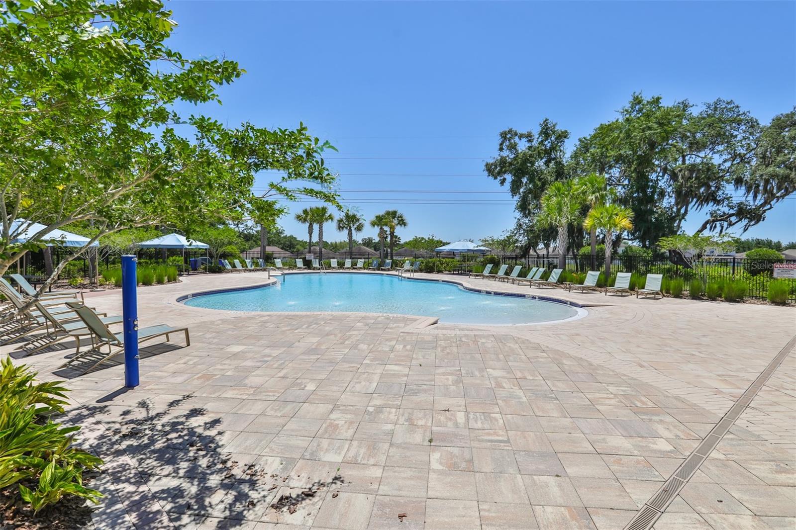 10616 GREAT CORMORANT DR — photo 42