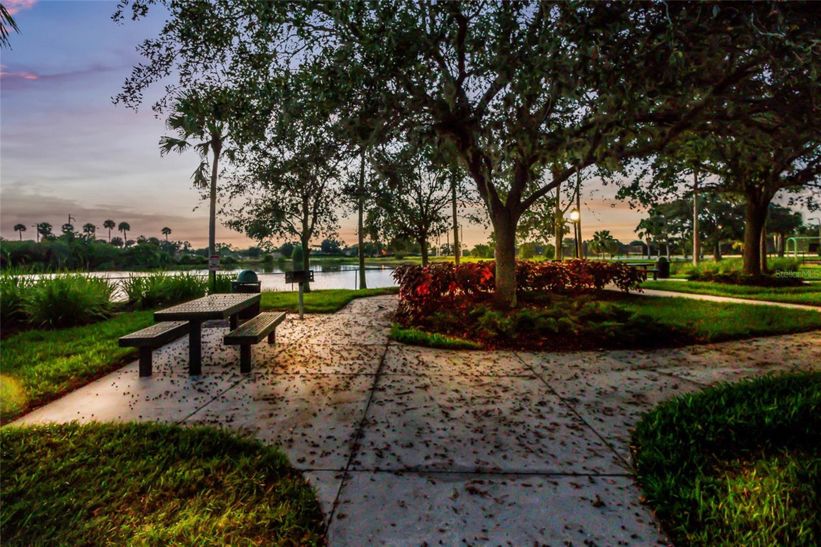 803 FAIRWAYCOVE LN #205 — photo 36