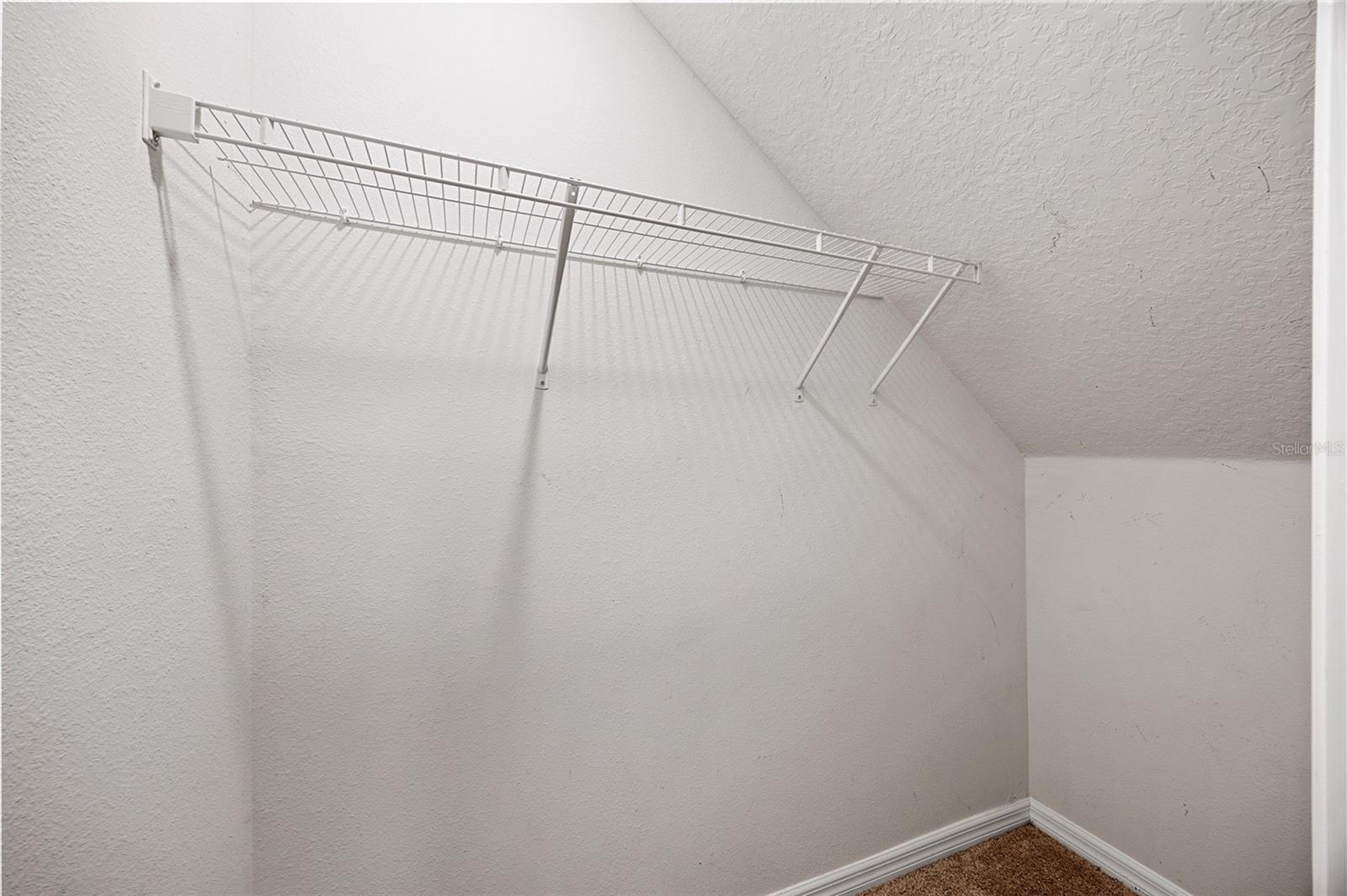 32756 ANSLEY BLOOM LN — photo 20