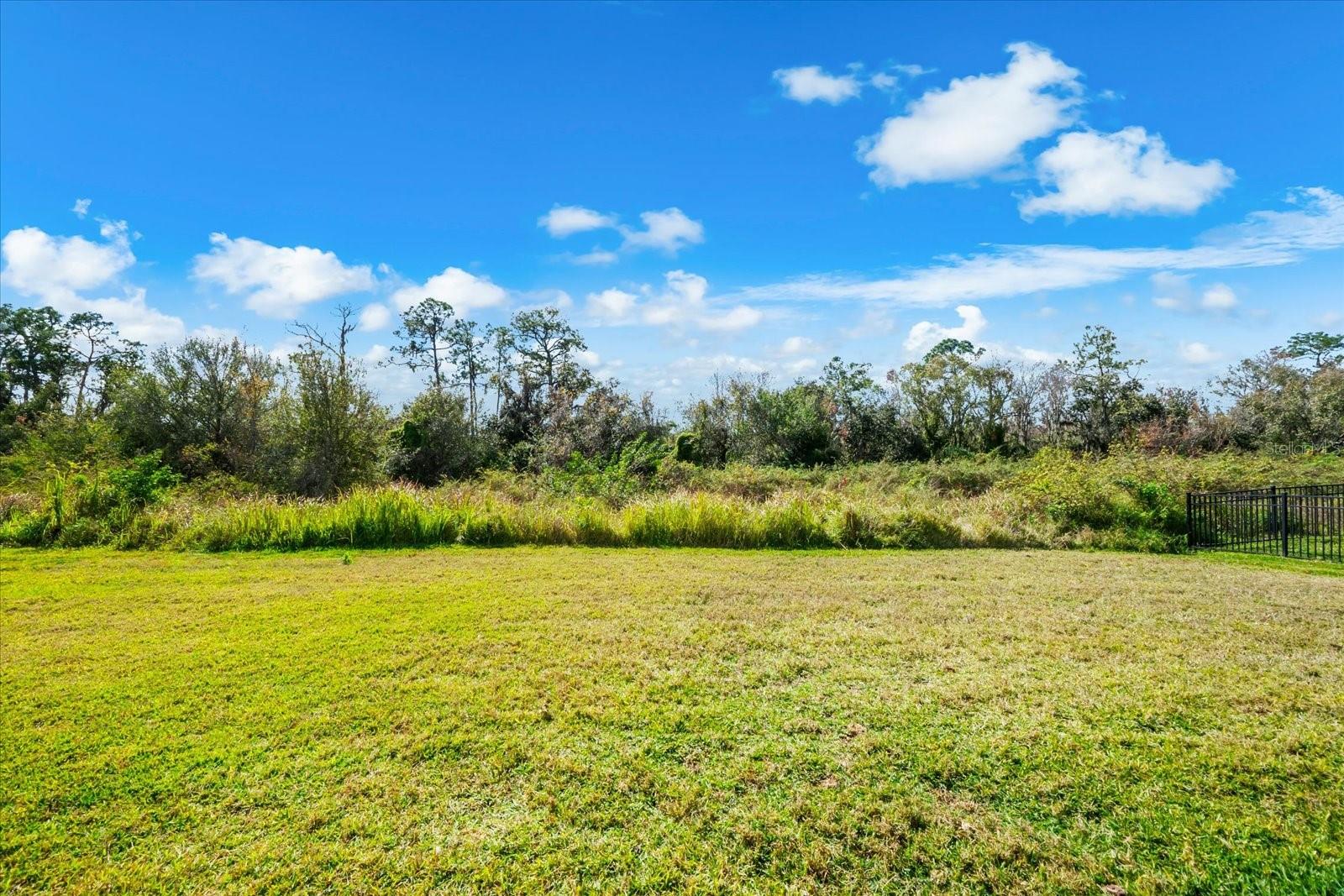 13832 GREEN HAMMOCK PL — photo 55