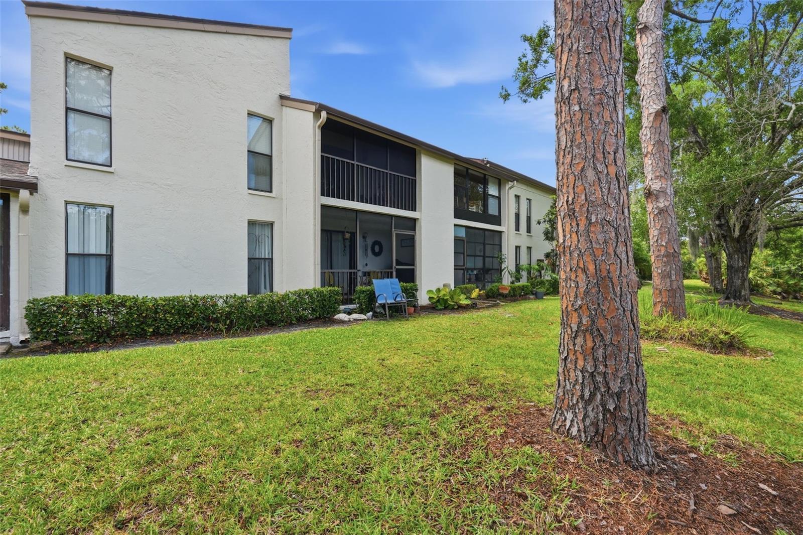 1200 TARPON WOODS BLVD #N2 — photo 21