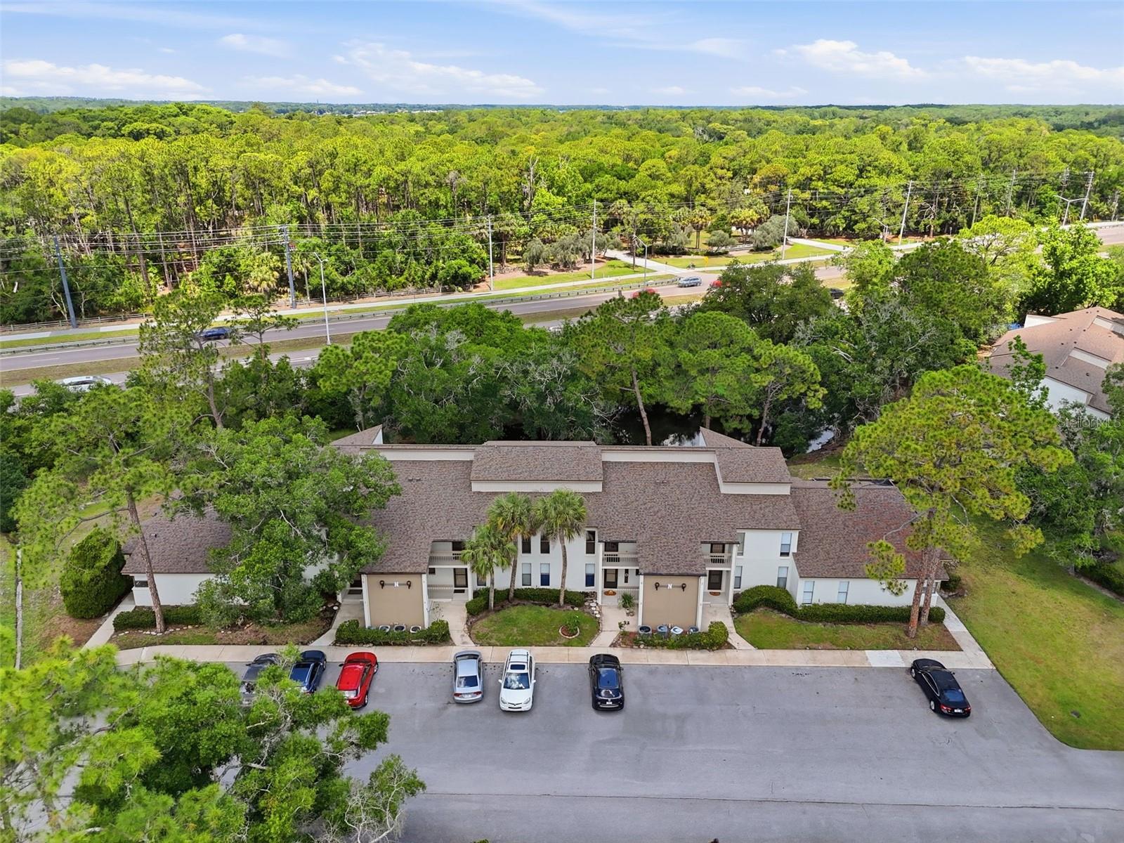 1200 TARPON WOODS BLVD #N2 — photo 24