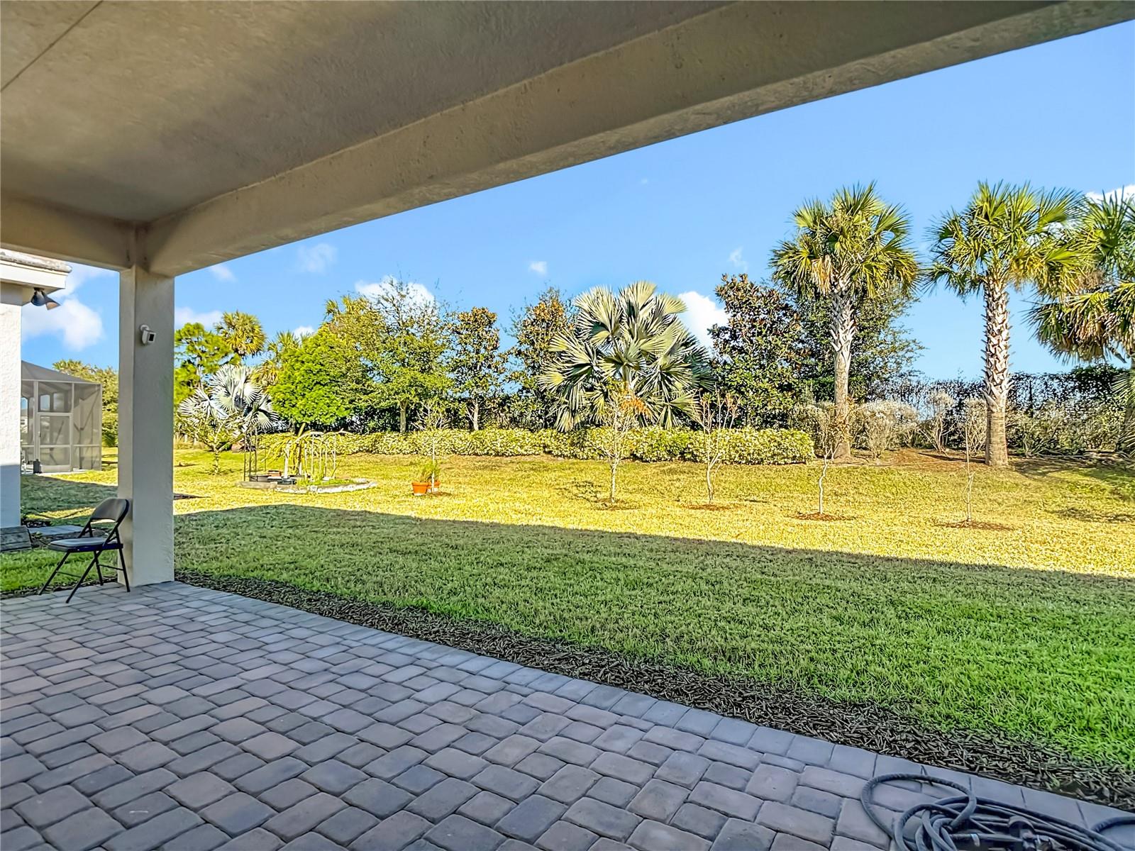 32676 TREE OF LIFE AVE — photo 38