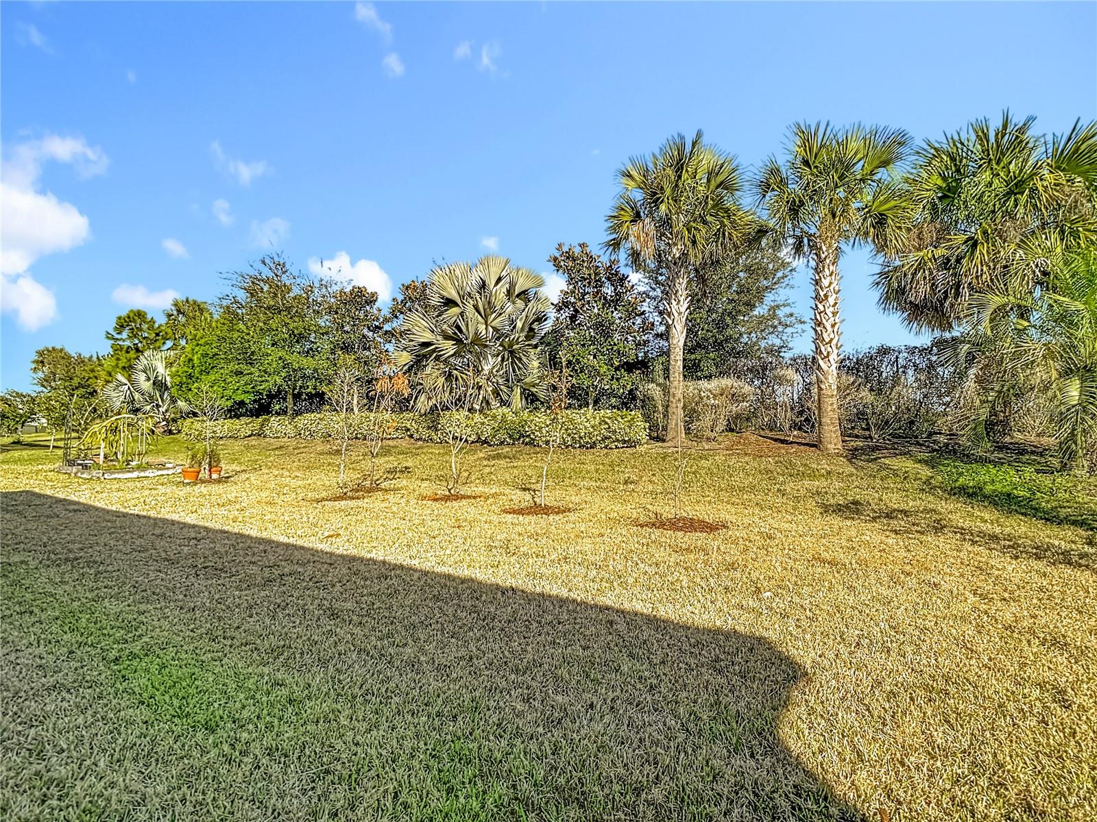 32676 TREE OF LIFE AVE — photo 44