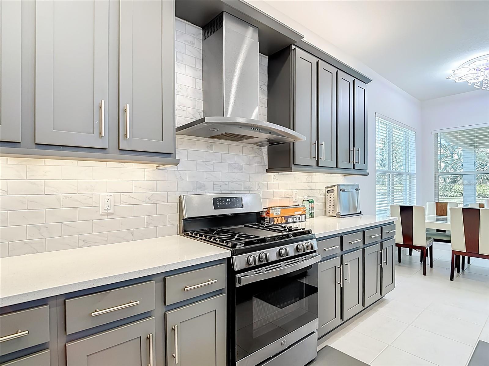 32676 TREE OF LIFE AVE — photo 19