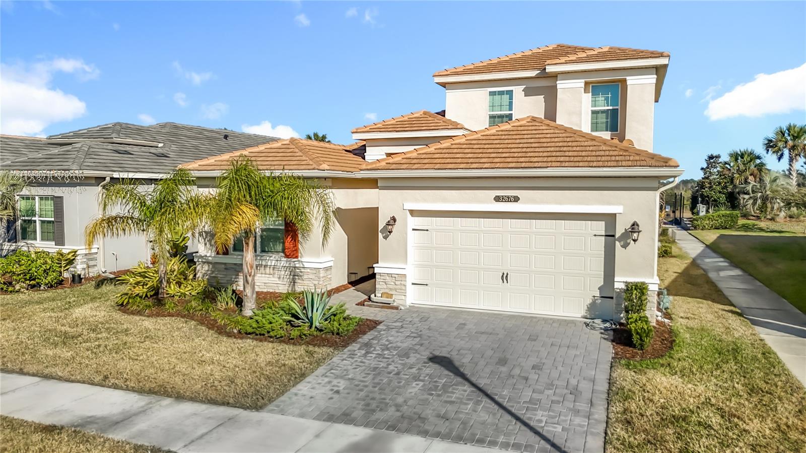 32676 TREE OF LIFE AVE — photo 6