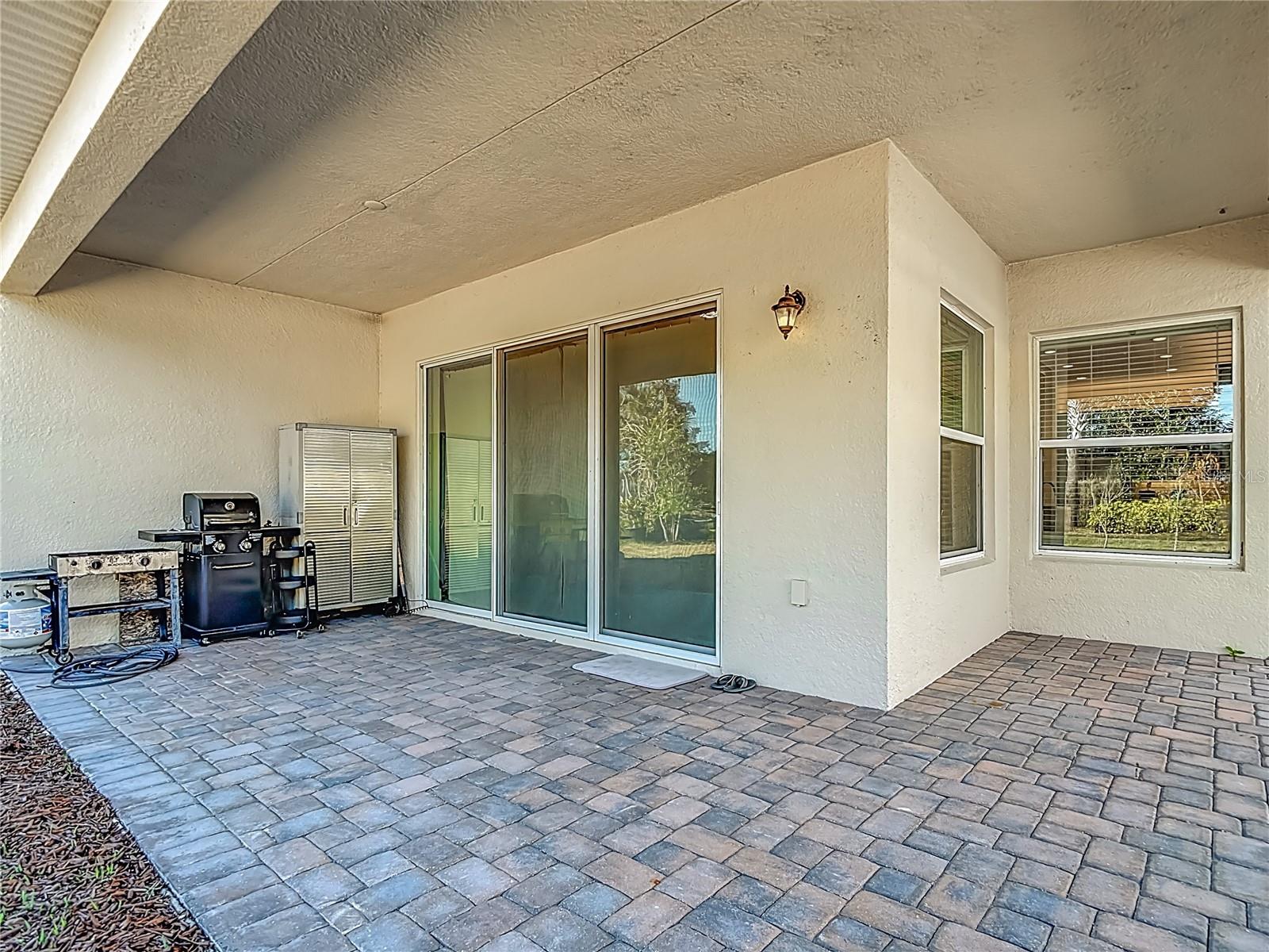32676 TREE OF LIFE AVE — photo 40