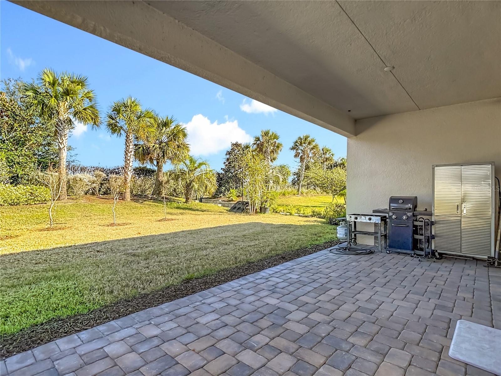 32676 TREE OF LIFE AVE — photo 39