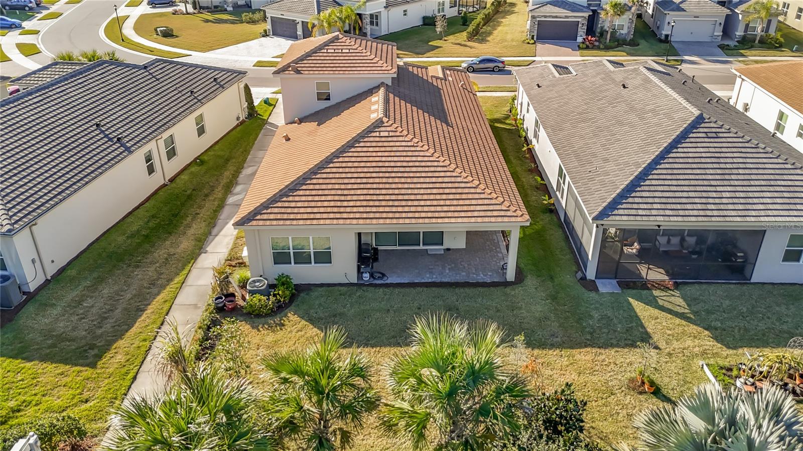 32676 TREE OF LIFE AVE — photo 45