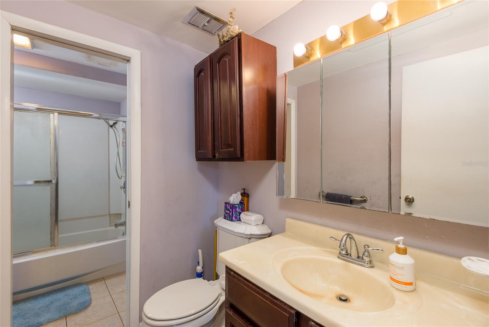 6809 TWELVE OAKS BLVD — photo 29