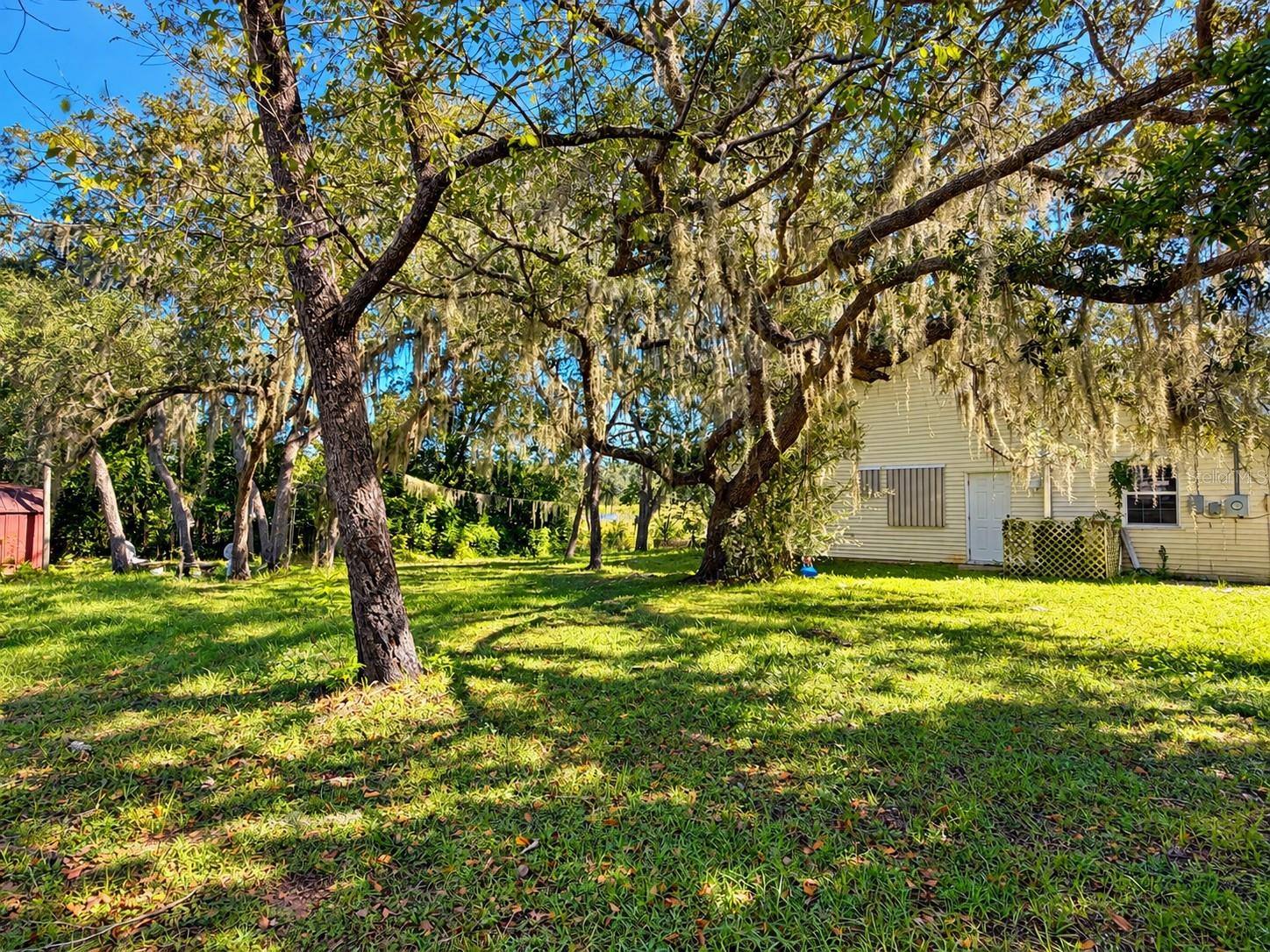 12227 TERRA CEIA AVE — photo 6