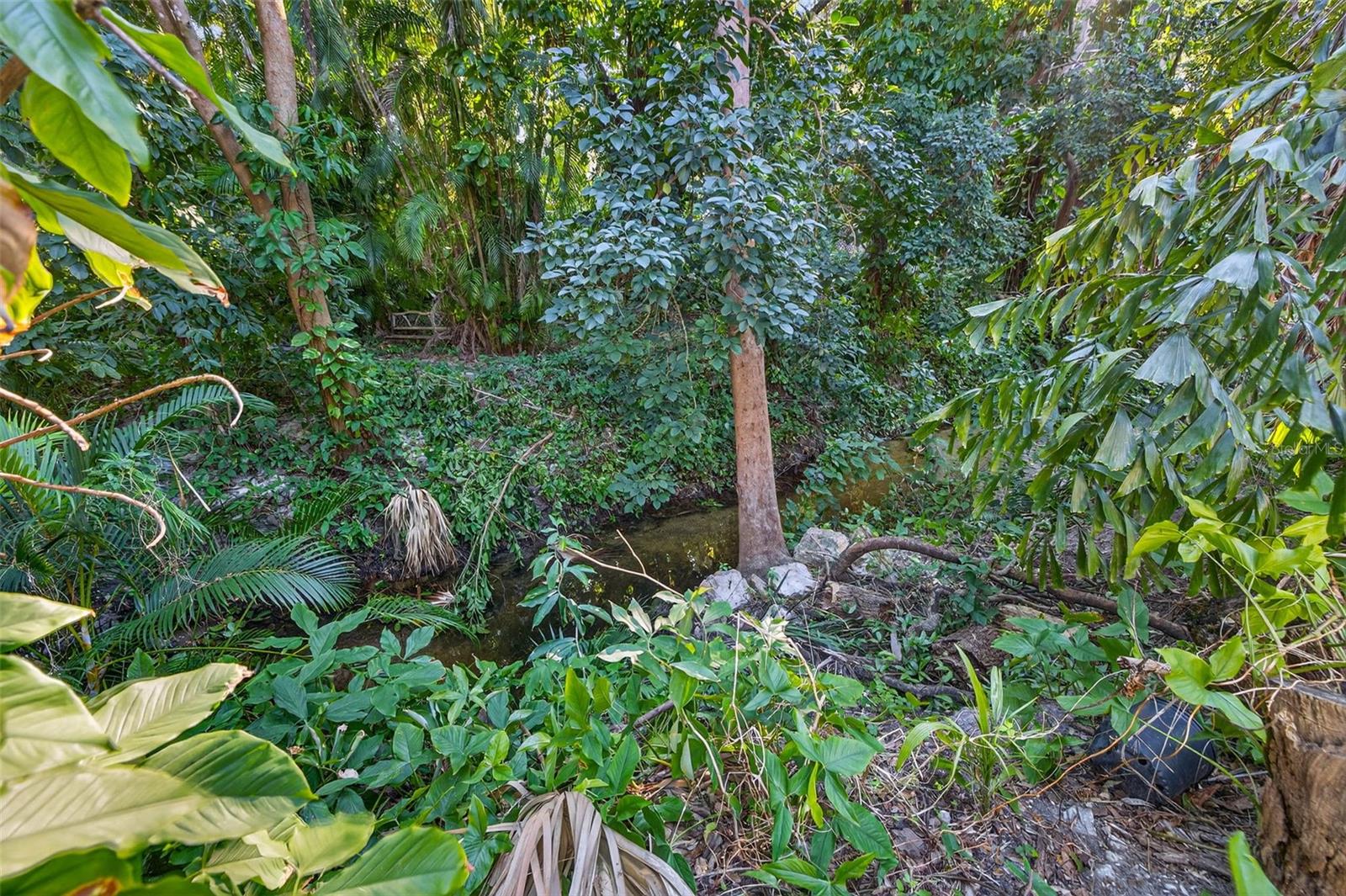 1581 ALEXANDER RD — photo 43