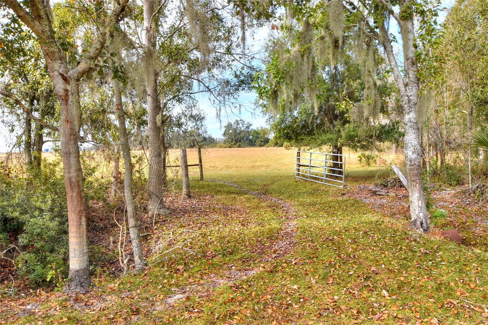 COLDING LOOP — photo 2