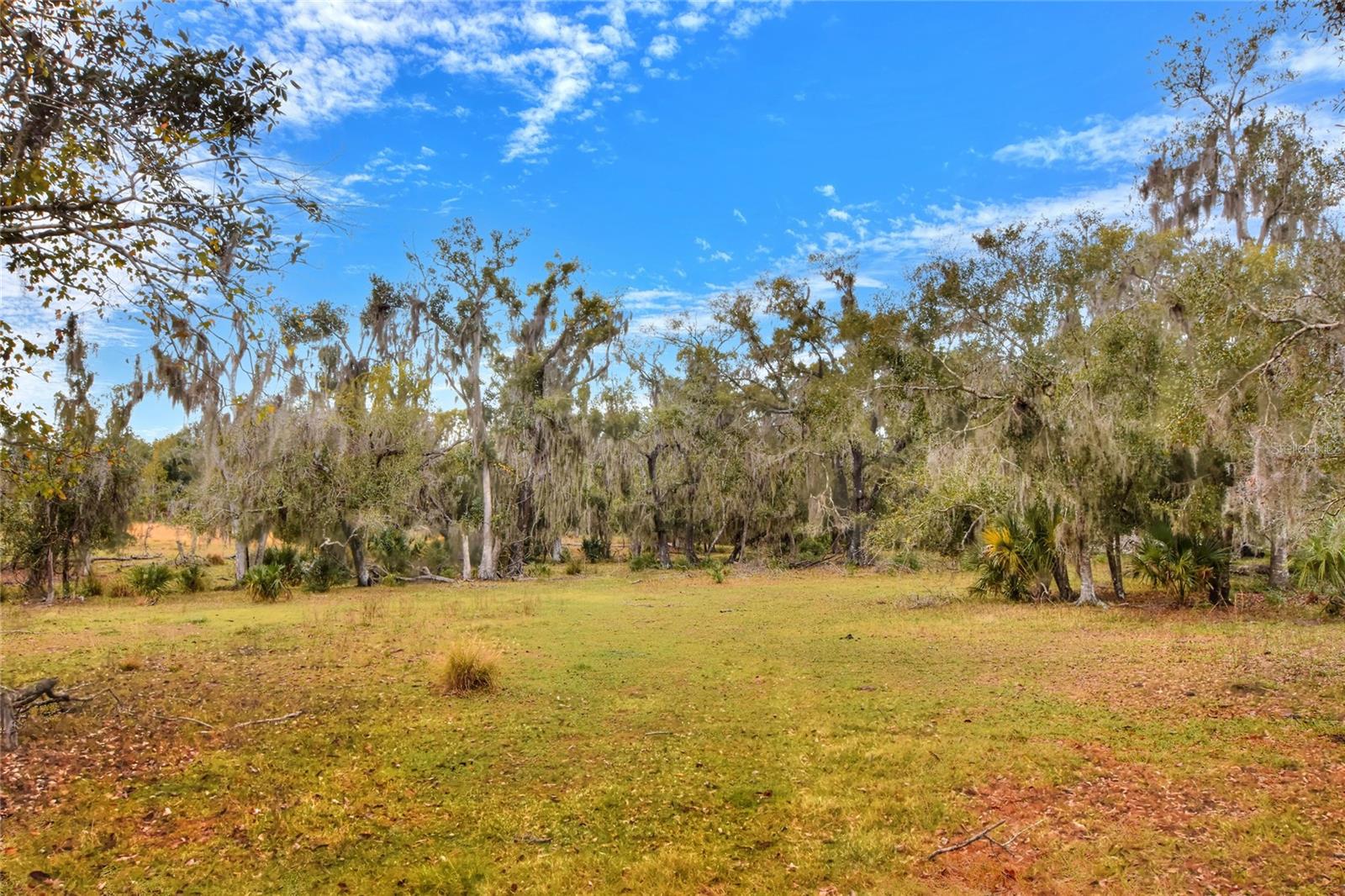 COLDING LOOP — photo 3