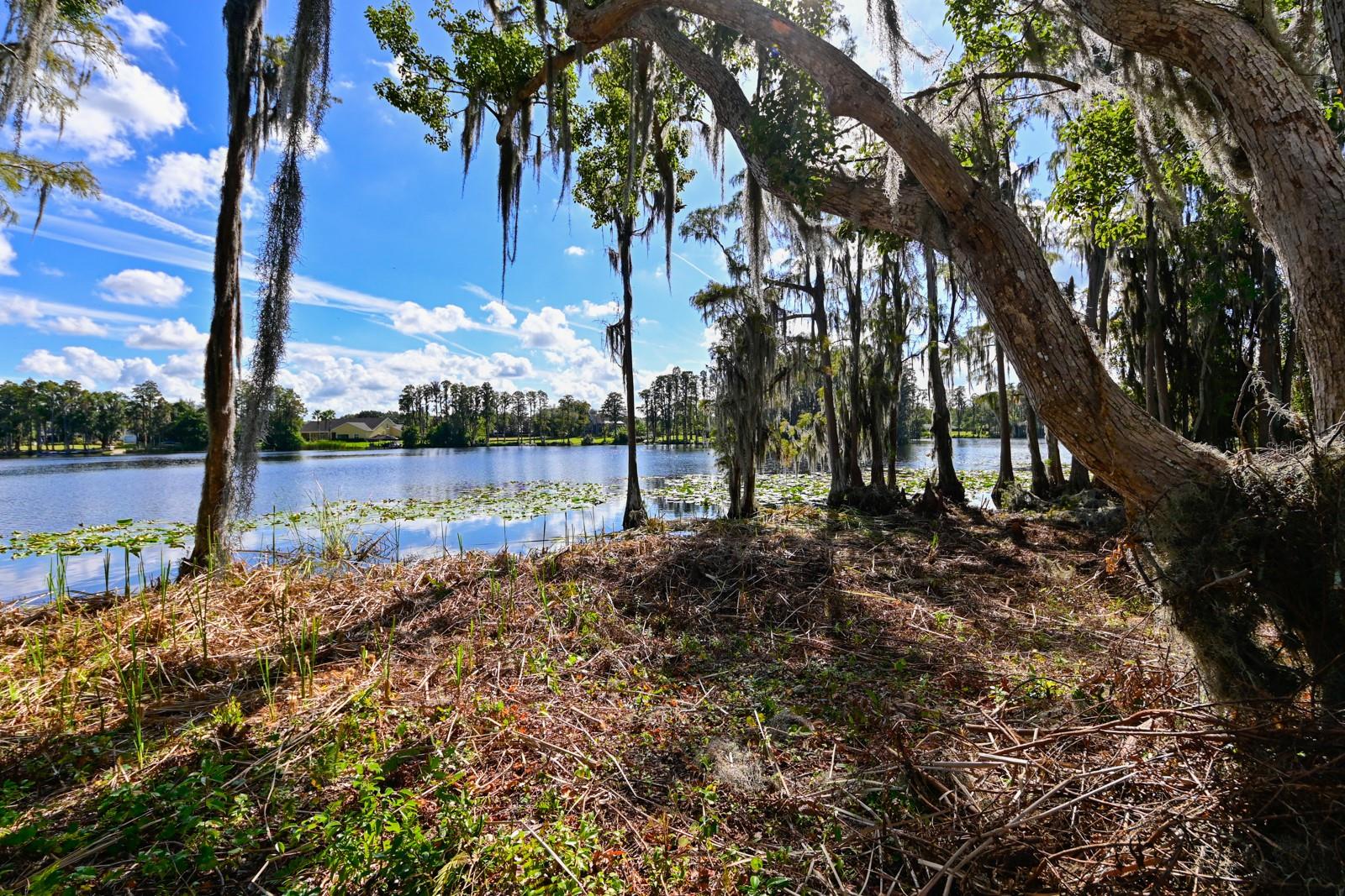 109 BELLAMERE PALMS CT — photo 11