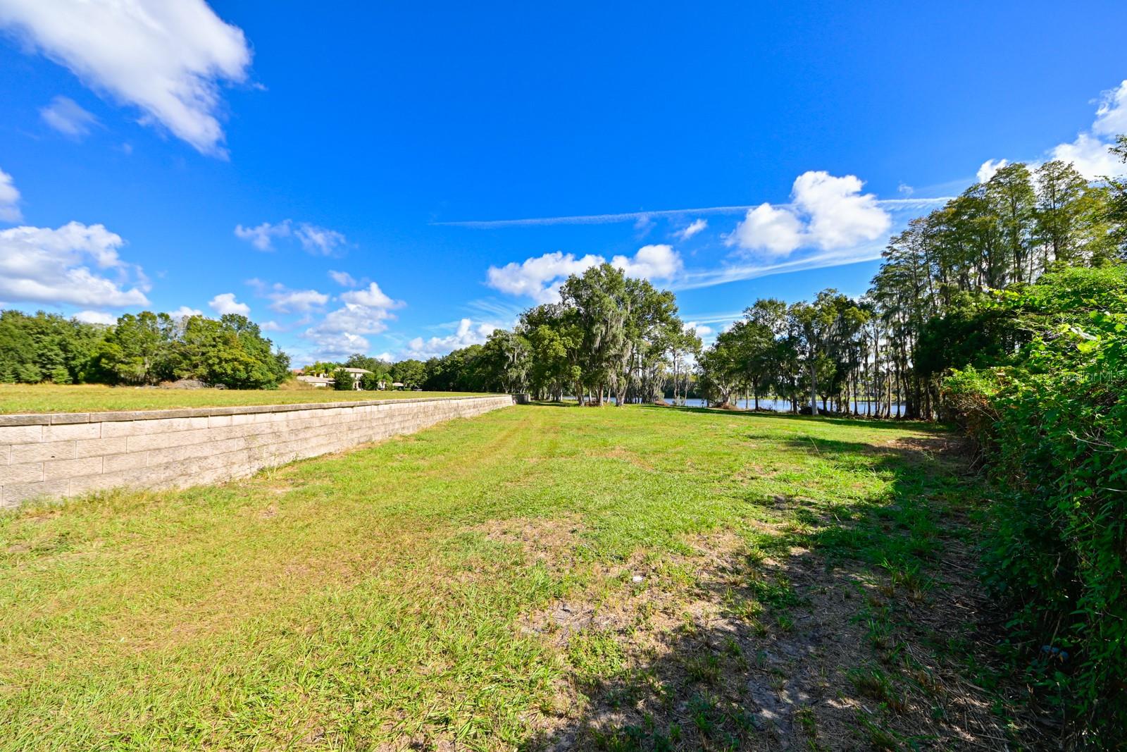 109 BELLAMERE PALMS CT — photo 9