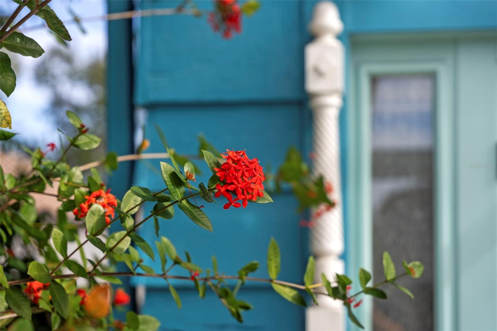 105 TUCKER AVE — photo 4