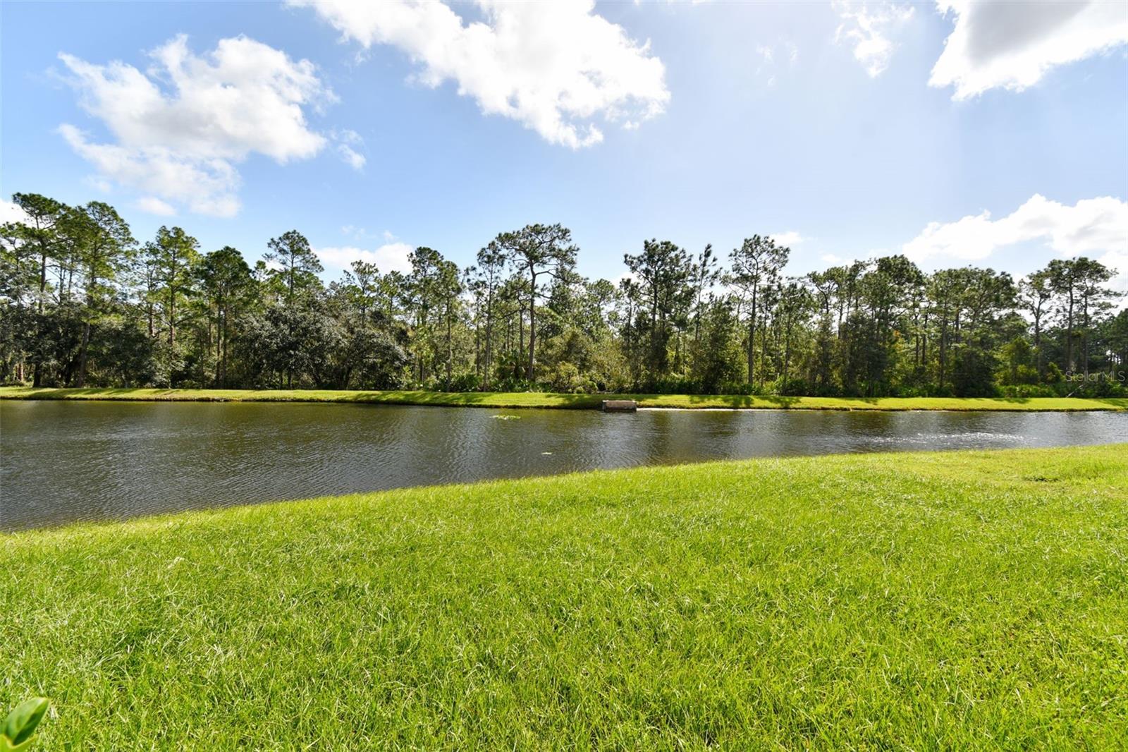 20461 BERRYWOOD LN — photo 29