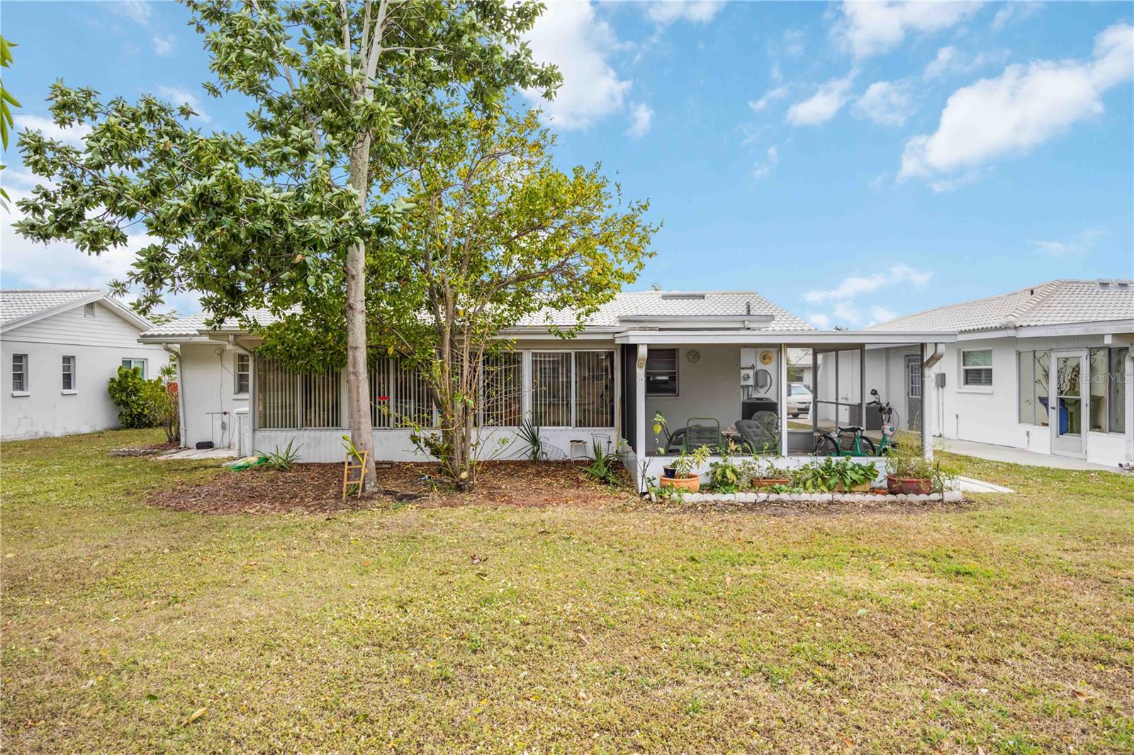 3801 CHINABERRY — photo 24