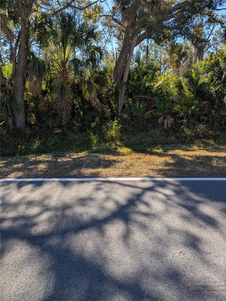 Lots 1,2&3 DE LEON DR — photo 9
