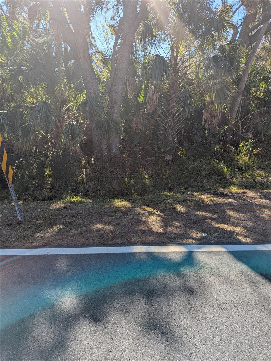 Lots 1,2&3 DE LEON DR — photo 8
