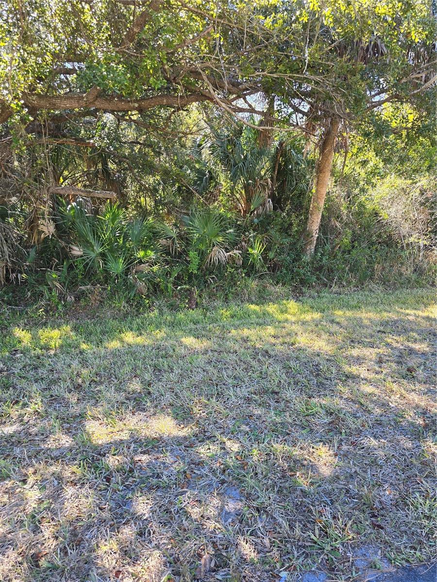 Lots 1,2&3 DE LEON DR — photo 10
