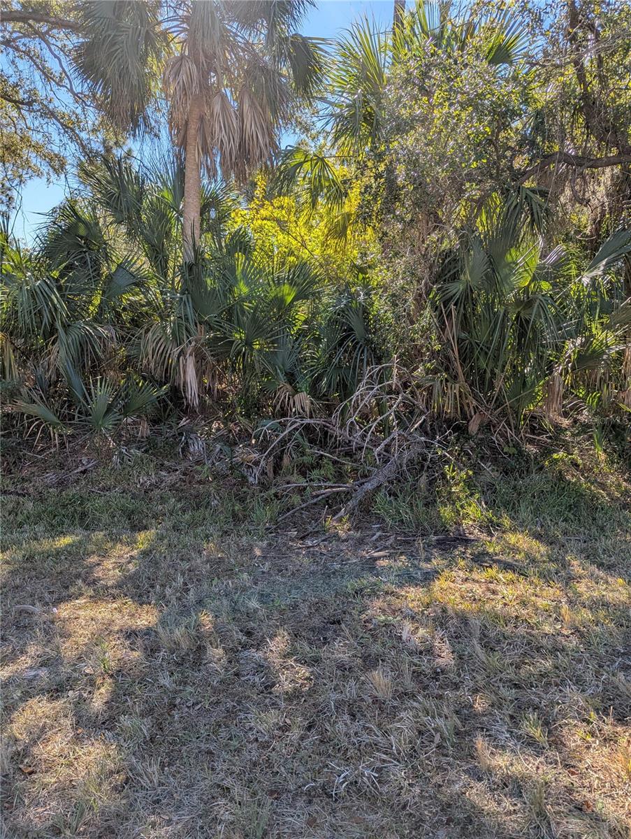 Lots 1,2&3 DE LEON DR — photo 11