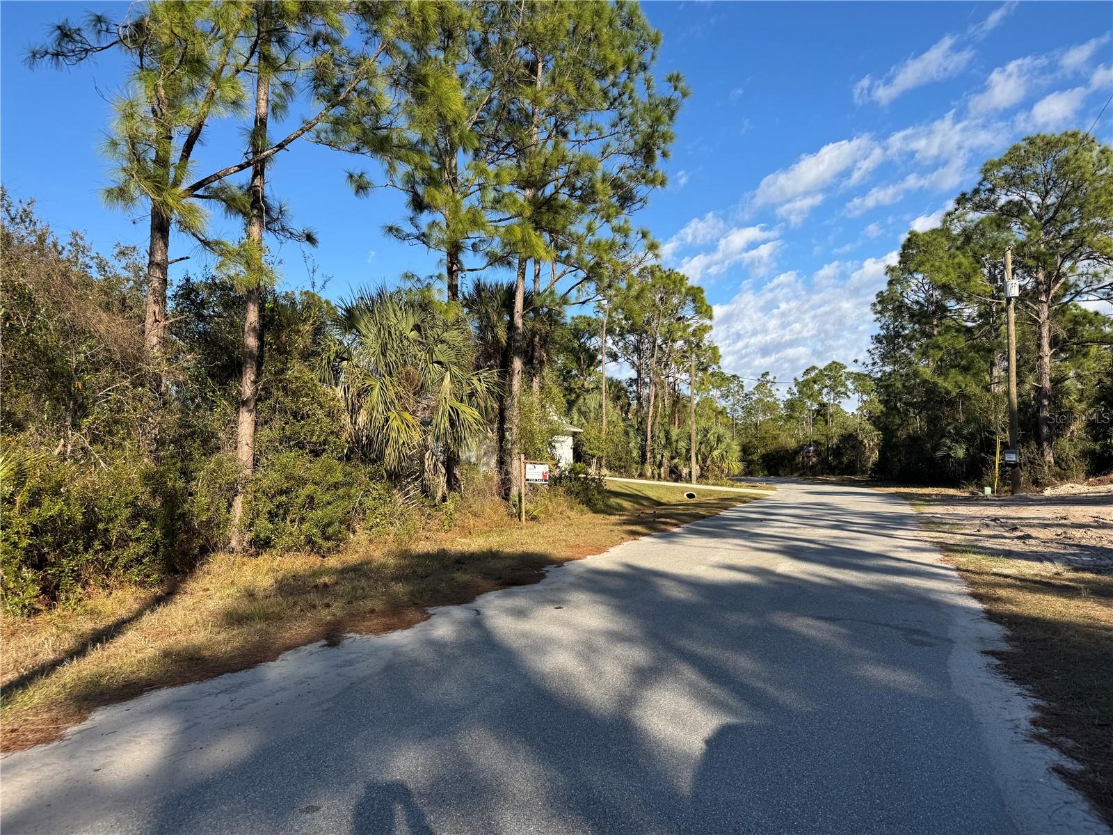 Lot 28 SWISS AVE — photo 9