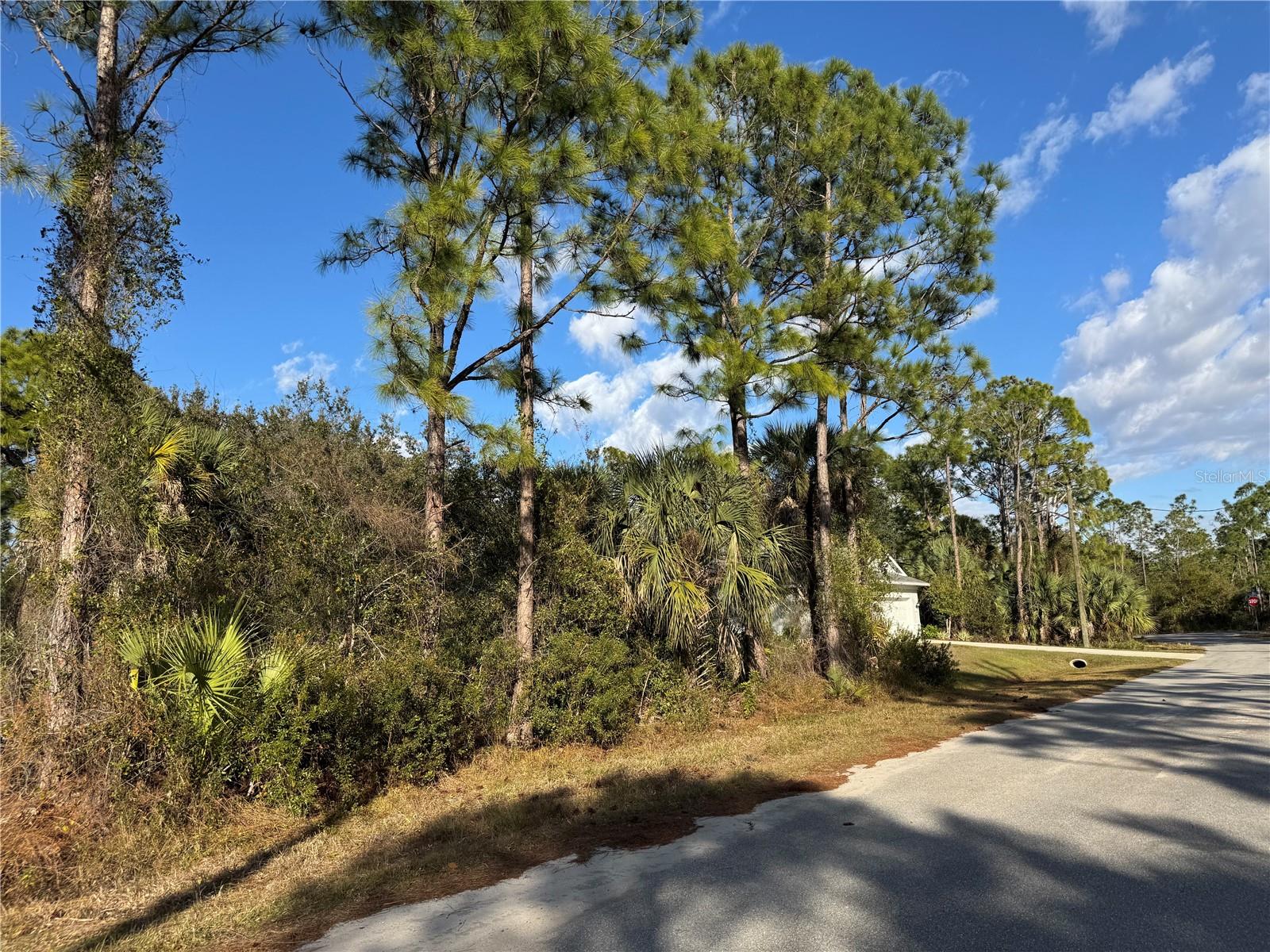 Lot 28 SWISS AVE — photo 6