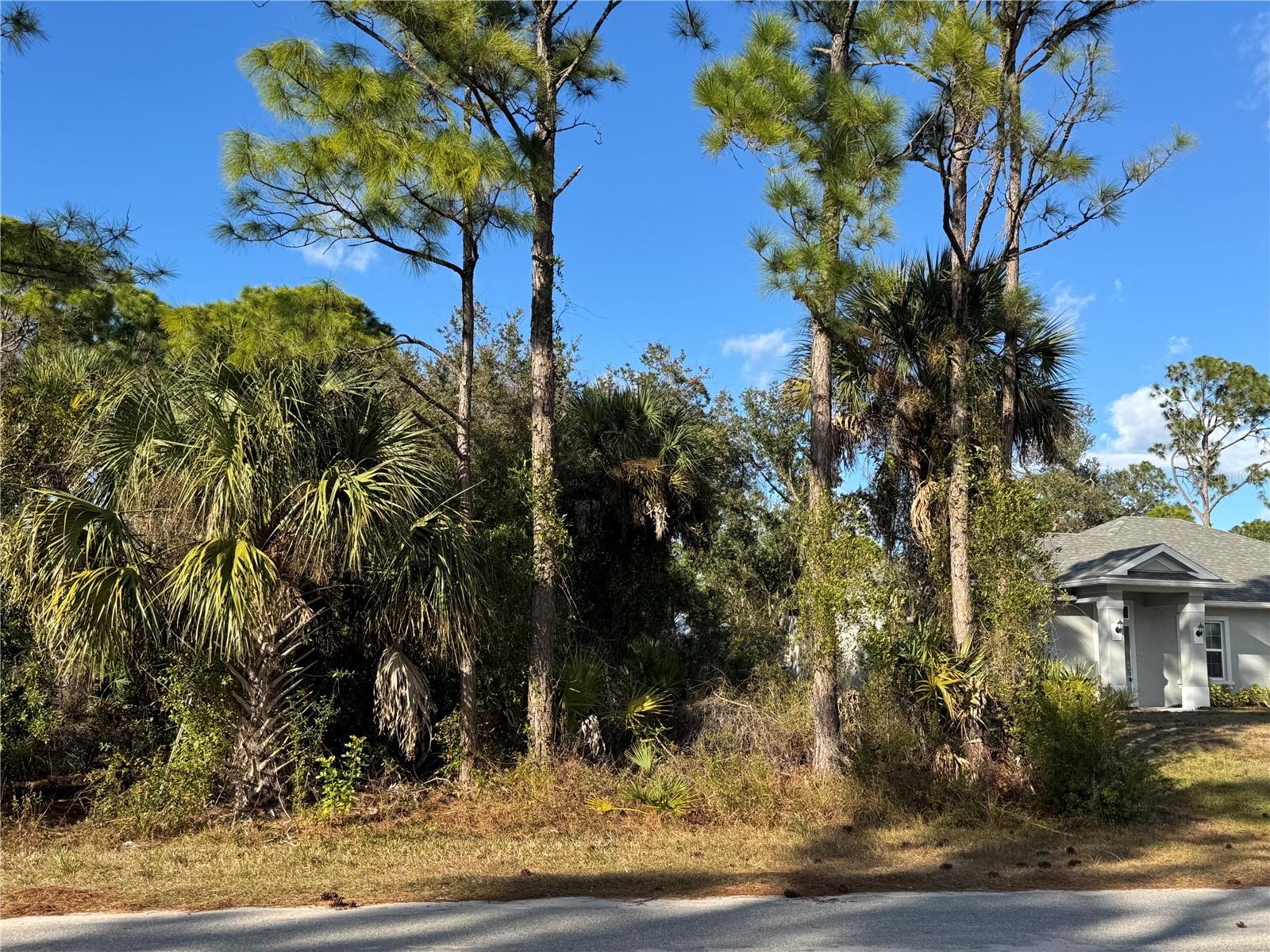 Lot 28 SWISS AVE — photo 7