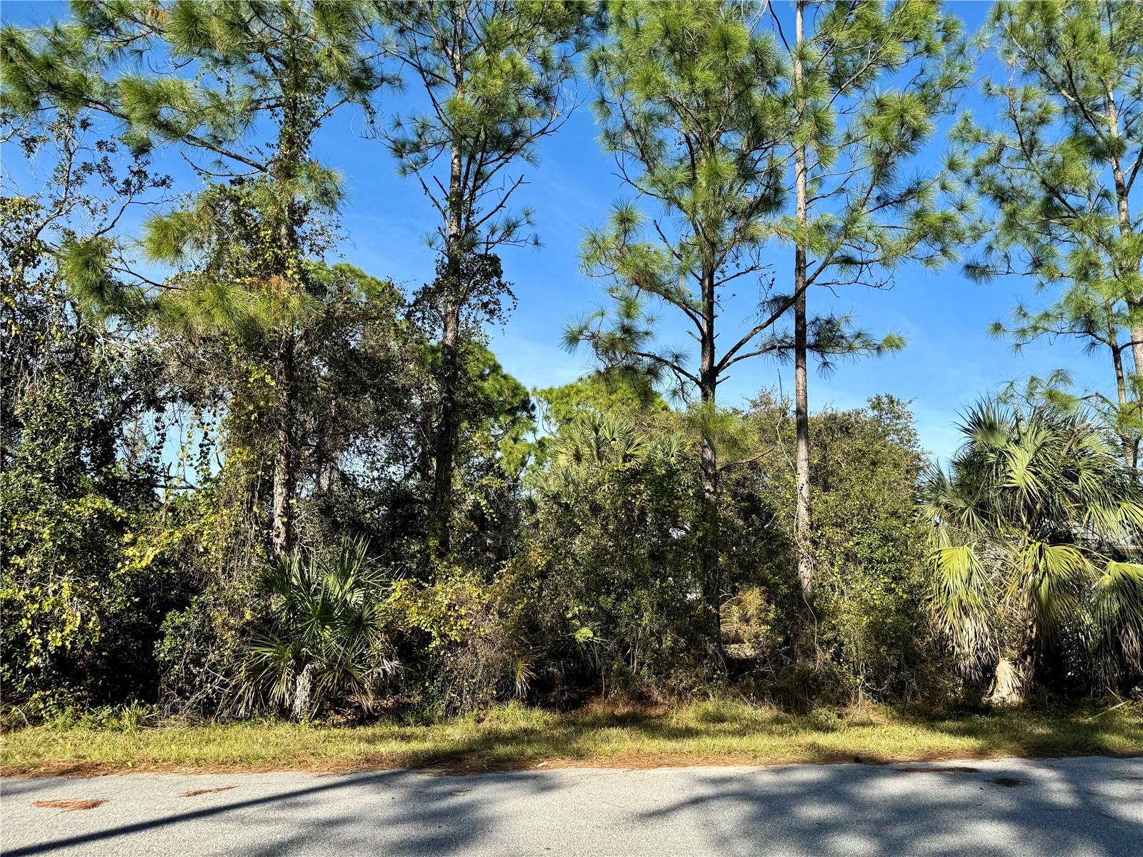 Lot 28 SWISS AVE — photo 11