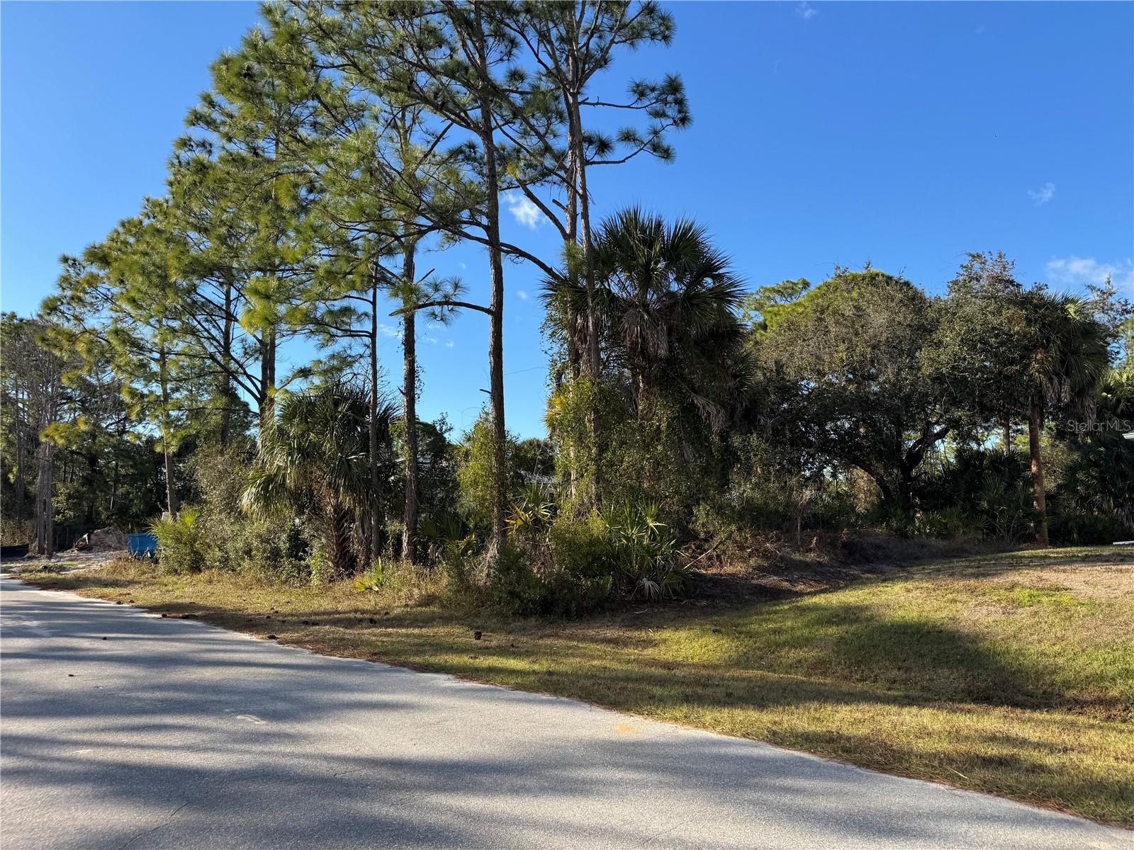 Lot 28 SWISS AVE — photo 10