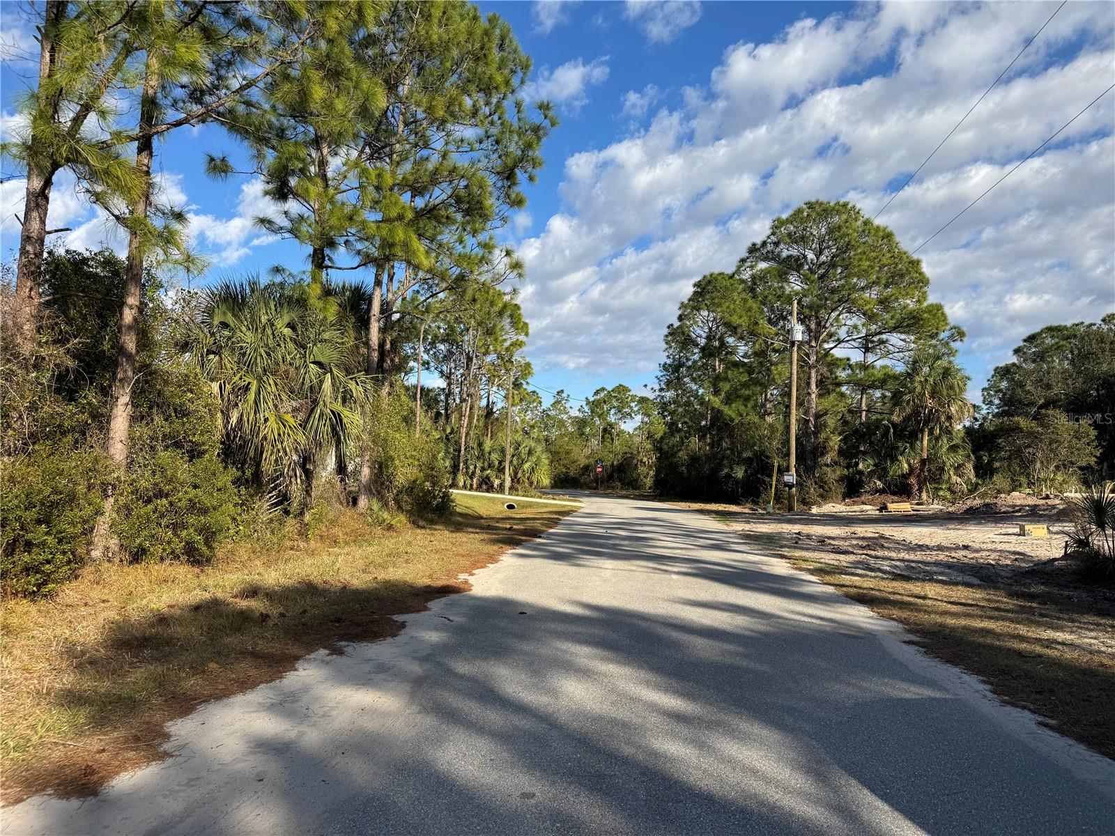 Lot 28 SWISS AVE — photo 8